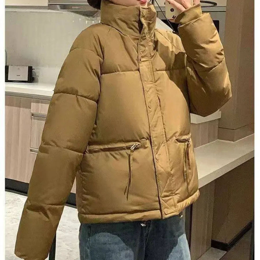 کاپشن داخل آستز