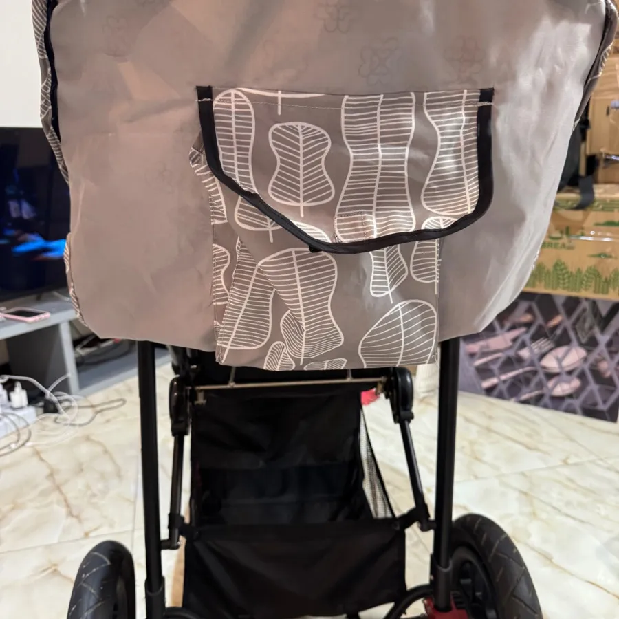 کالسکه و کریر