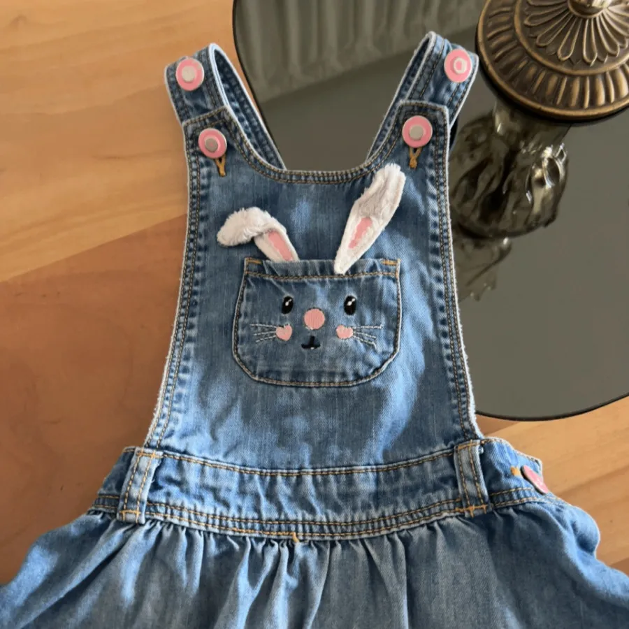 سارافون جین ال سی