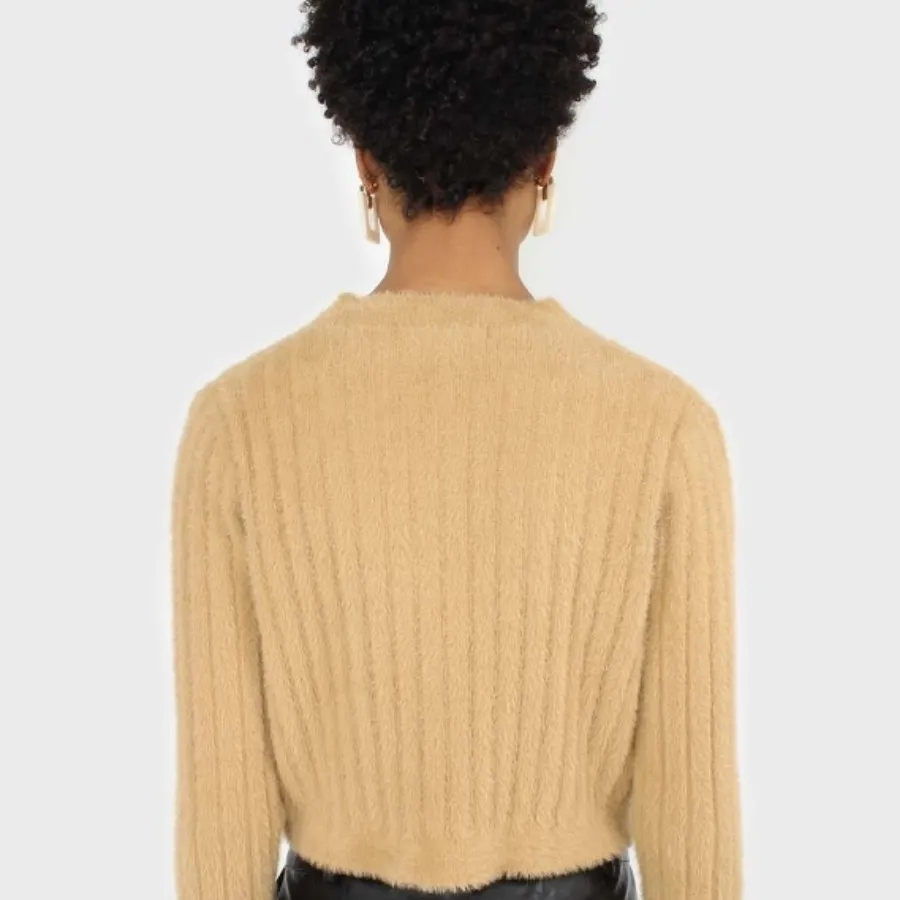 کاردیگان موهر کلسی