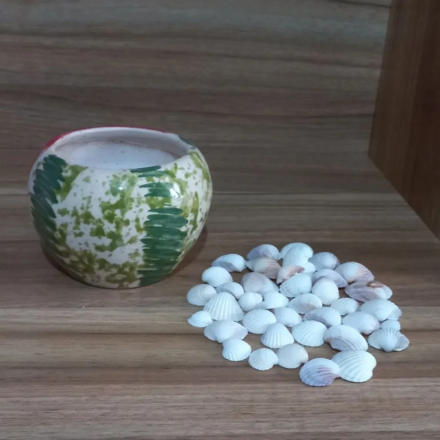 گلدان طرح هندوانه