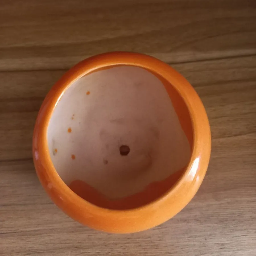 گلدان نارنجی