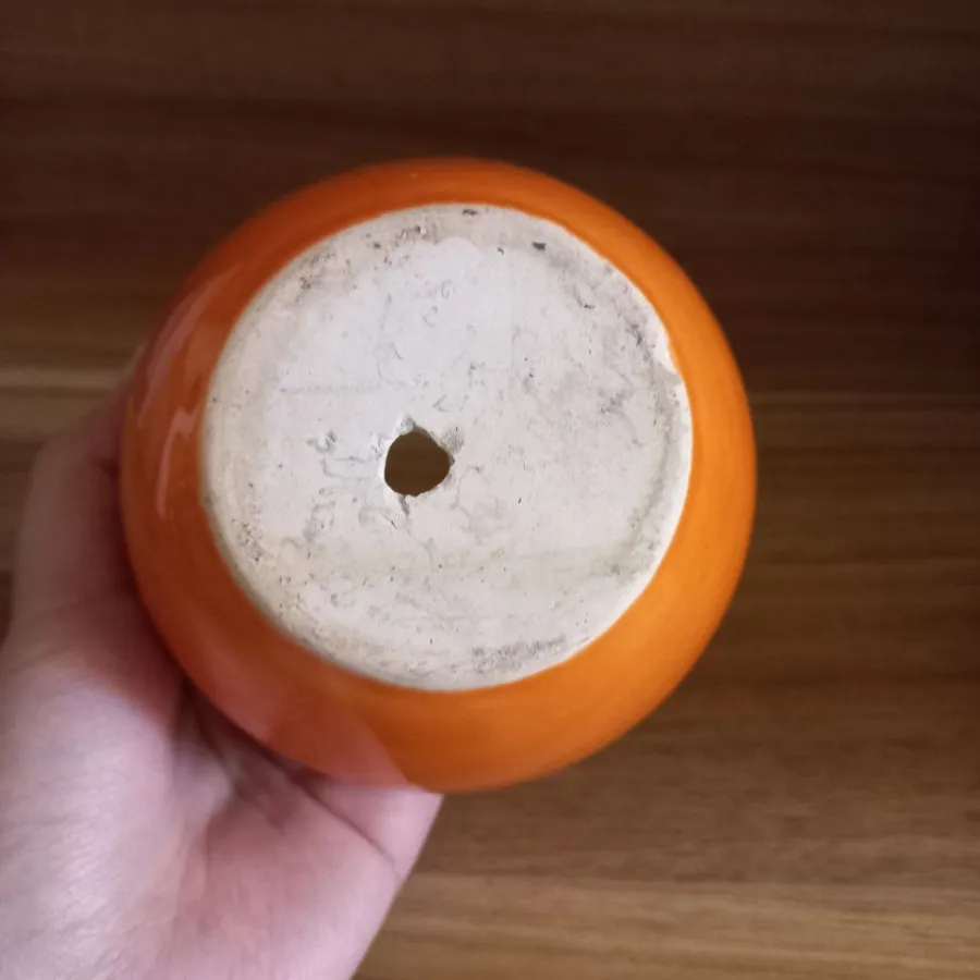 گلدان نارنجی