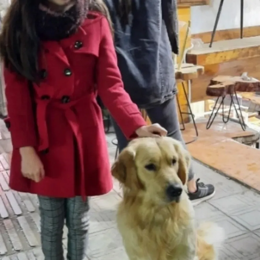 پالتو ترنج کت دخترانه ترک