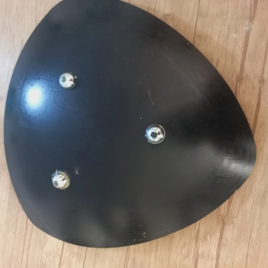 ظرف دیس ورساچه