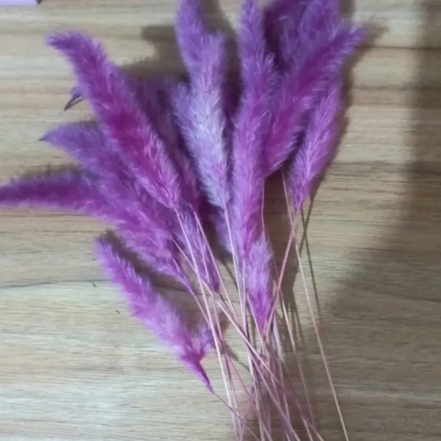 گل مصنوعی سرخابی