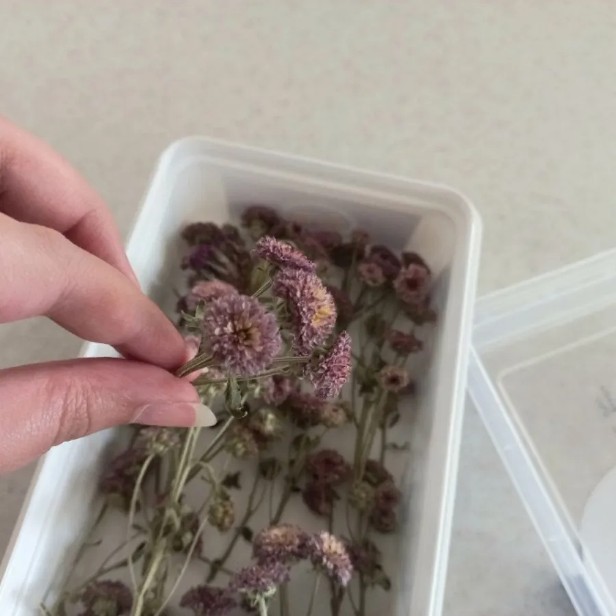 گل مصنوعی بنفش