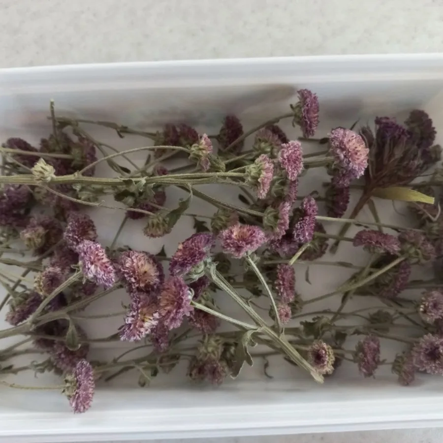 گل مصنوعی بنفش