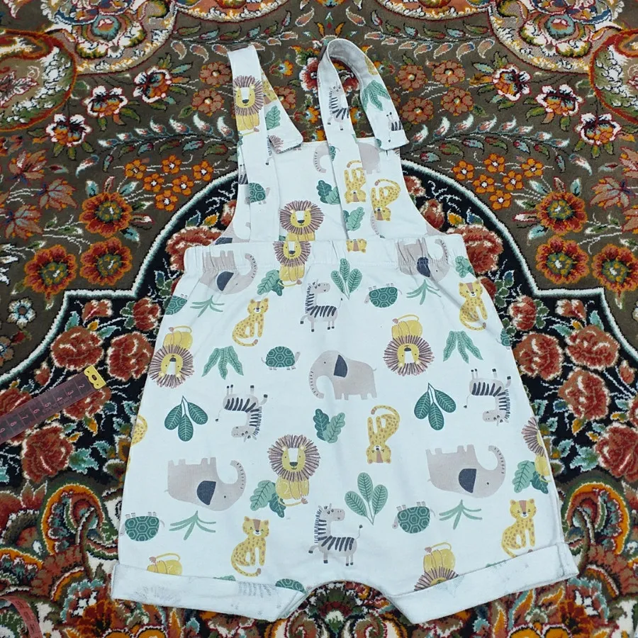 بادی پیشبندی