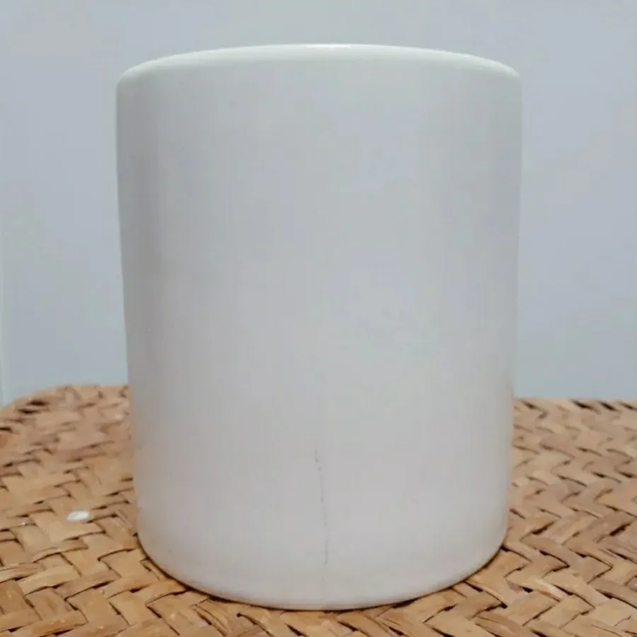 ماگ استارباکس