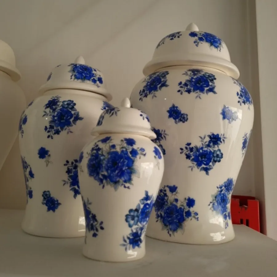 جینجرجارسرامیکی