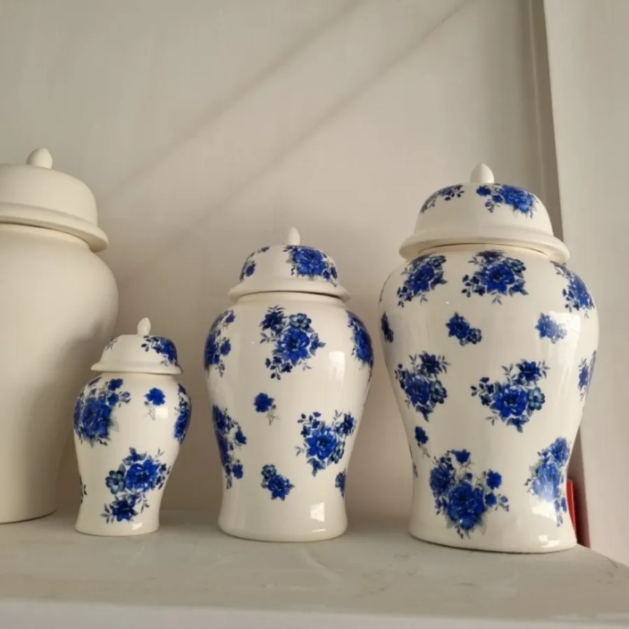 جینجرجارسرامیکی