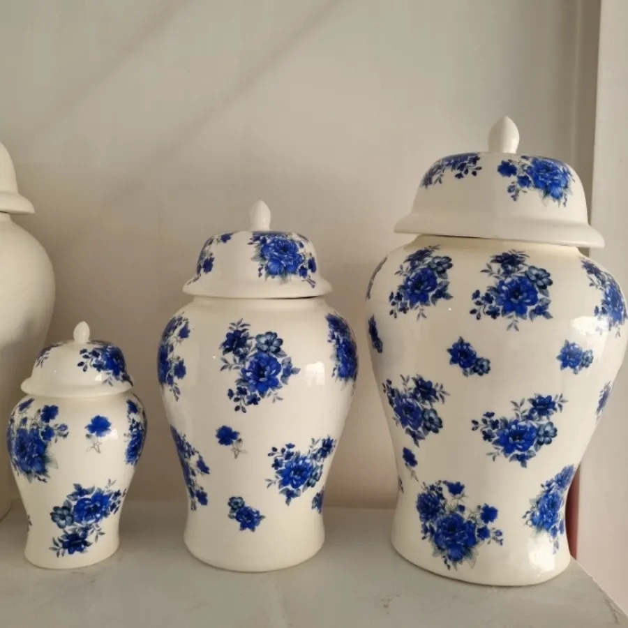 جینجرجارسرامیکی