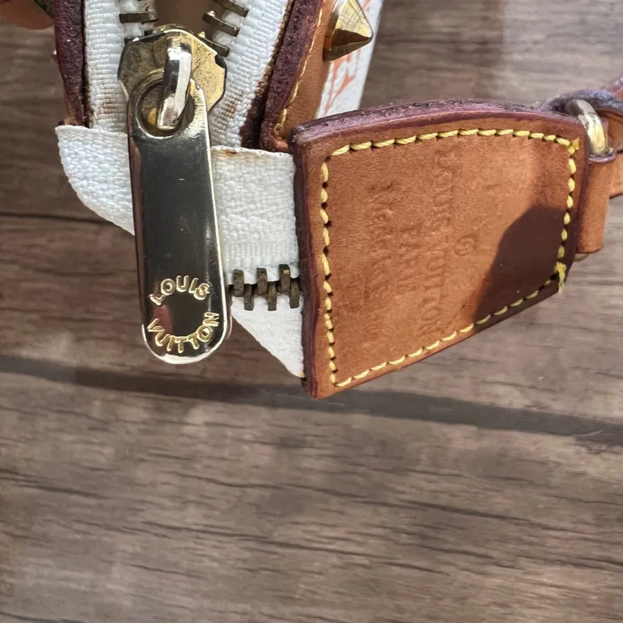 کیف لویی ویتون