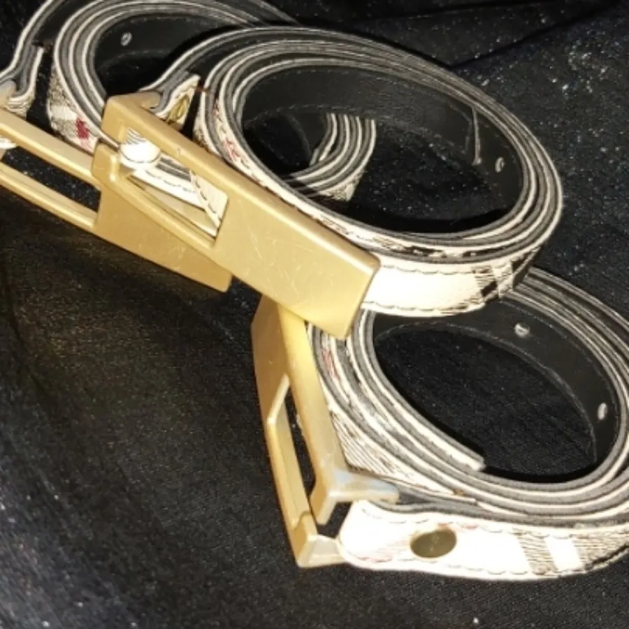 کمربند بربری