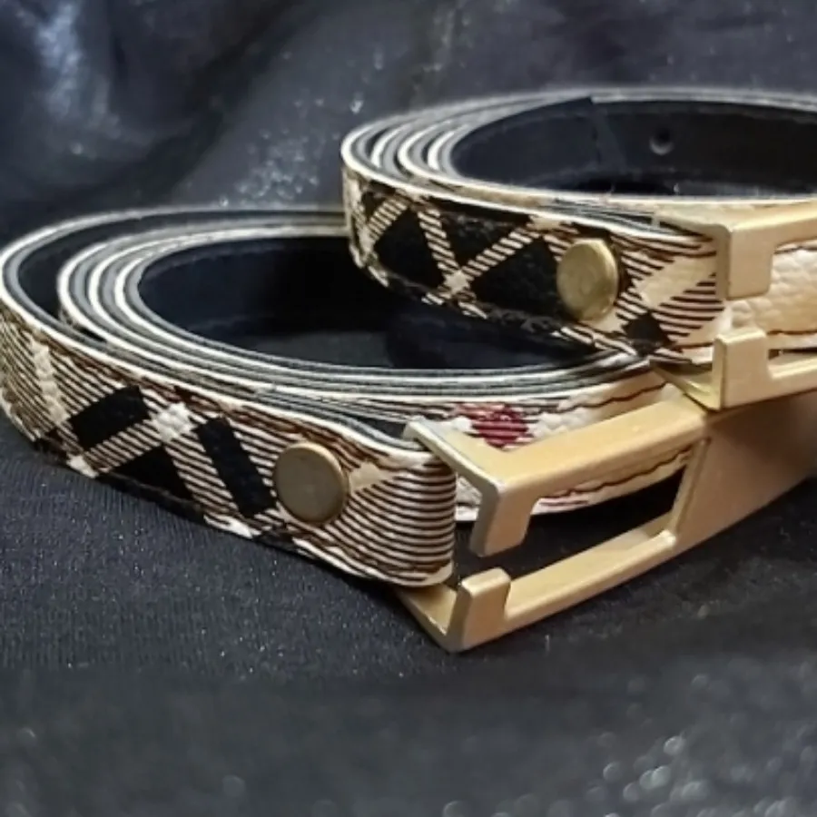 کمربند بربری