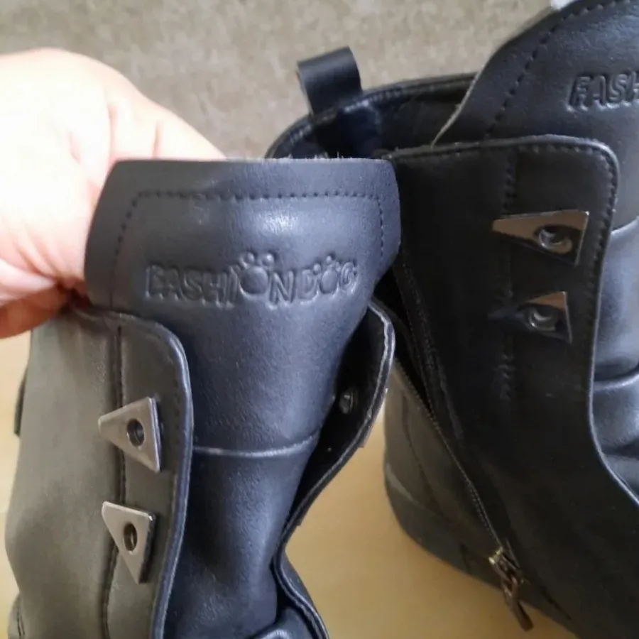 بوت برند فشن داگ