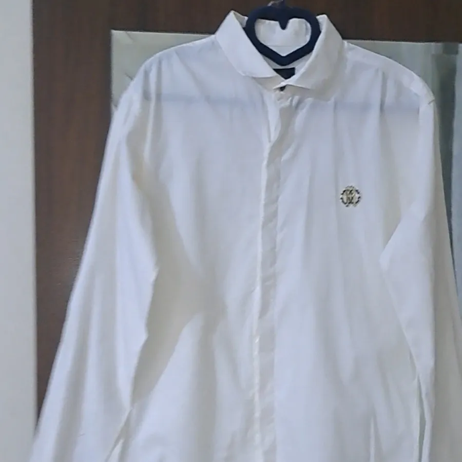 مردانه مجلسی