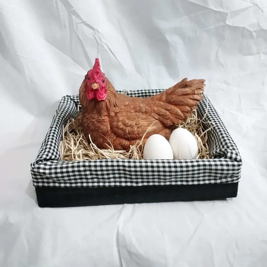 دکوری مرغ خانگی