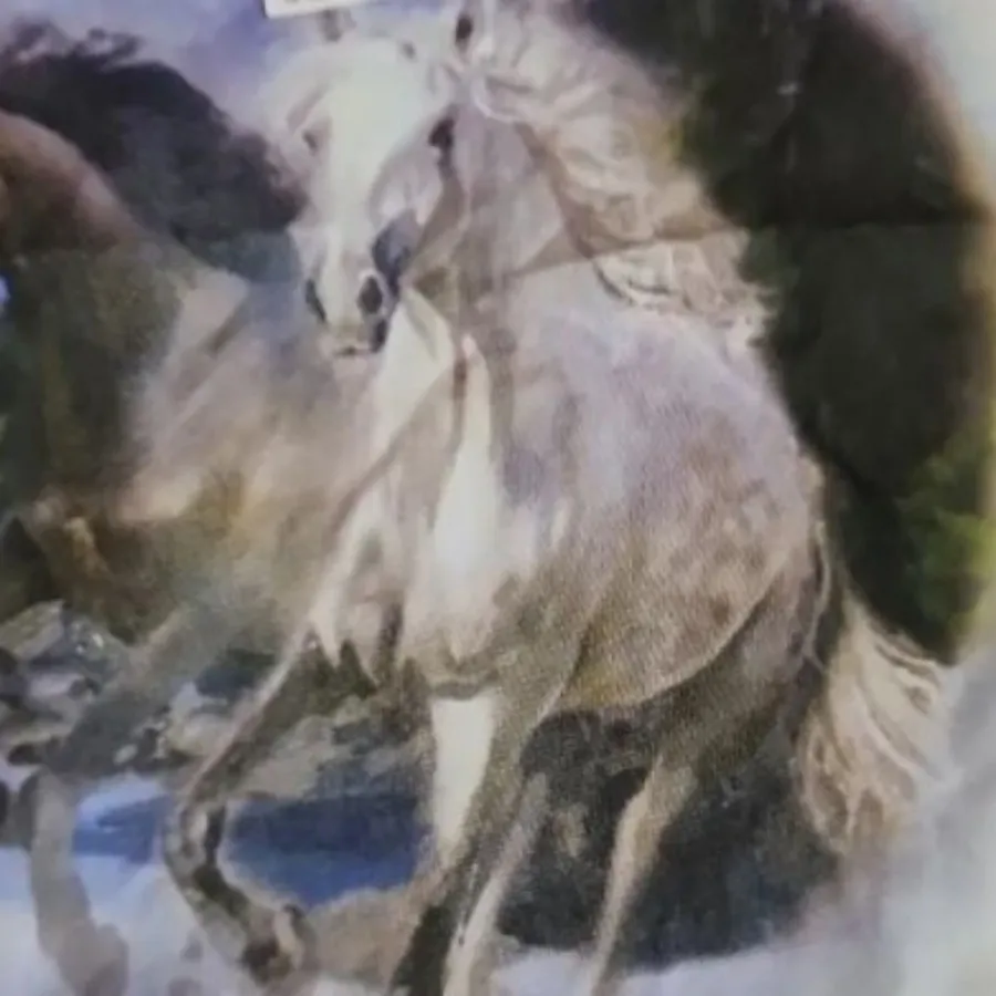 کراپ تیشرت H&M