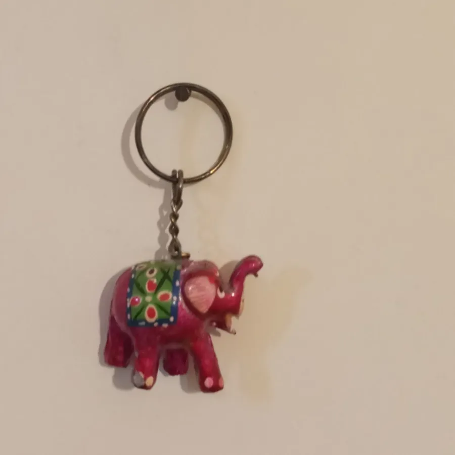 جا کلیدی های فیل هندی