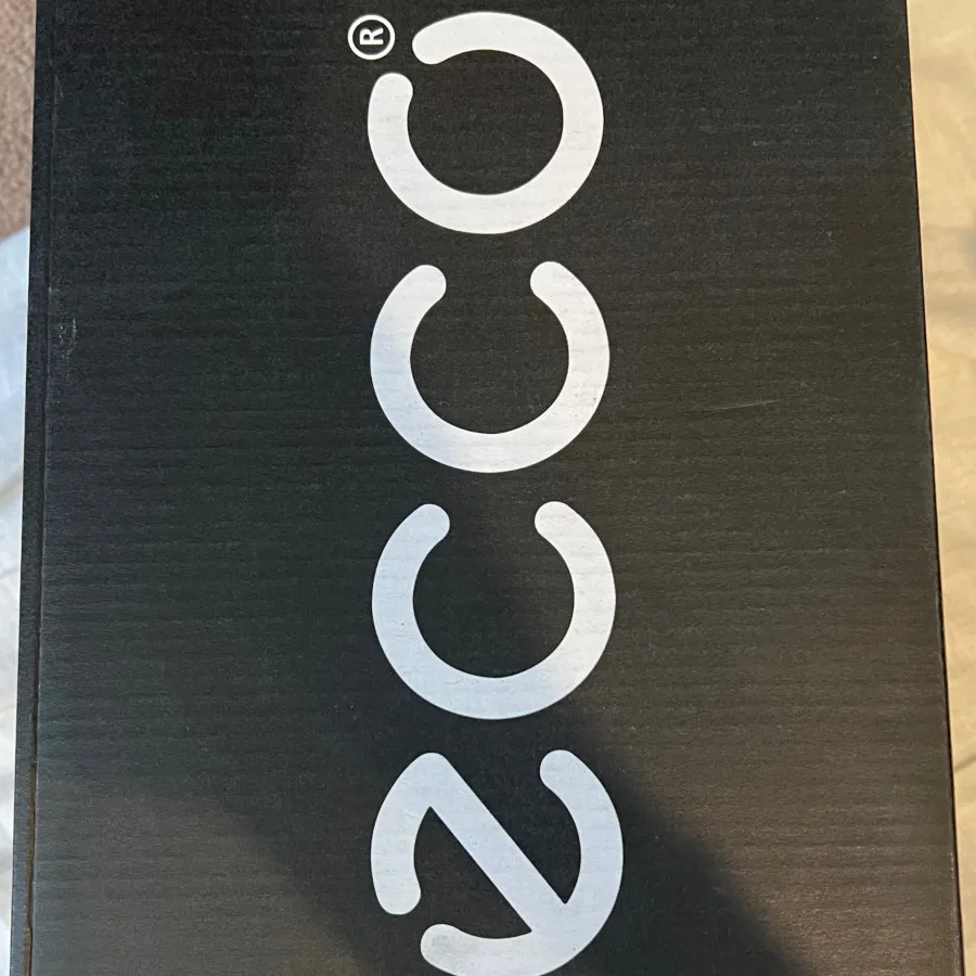 کفش مجلسی اکو