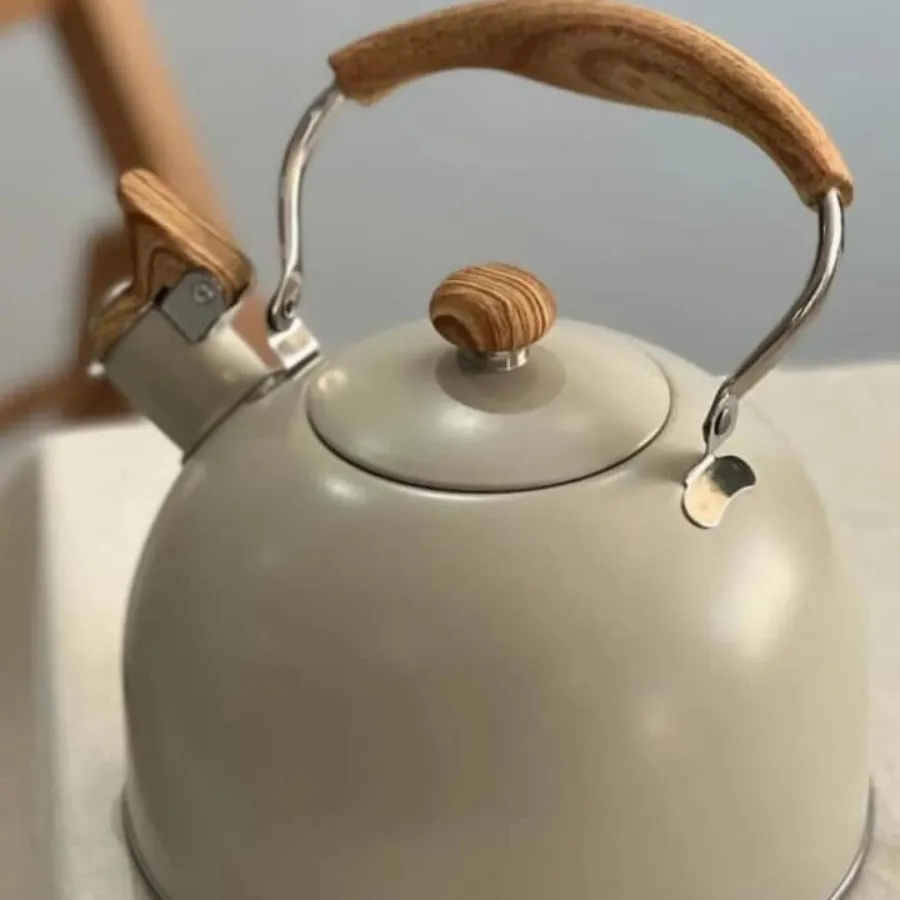 کتری سوت زن ترک