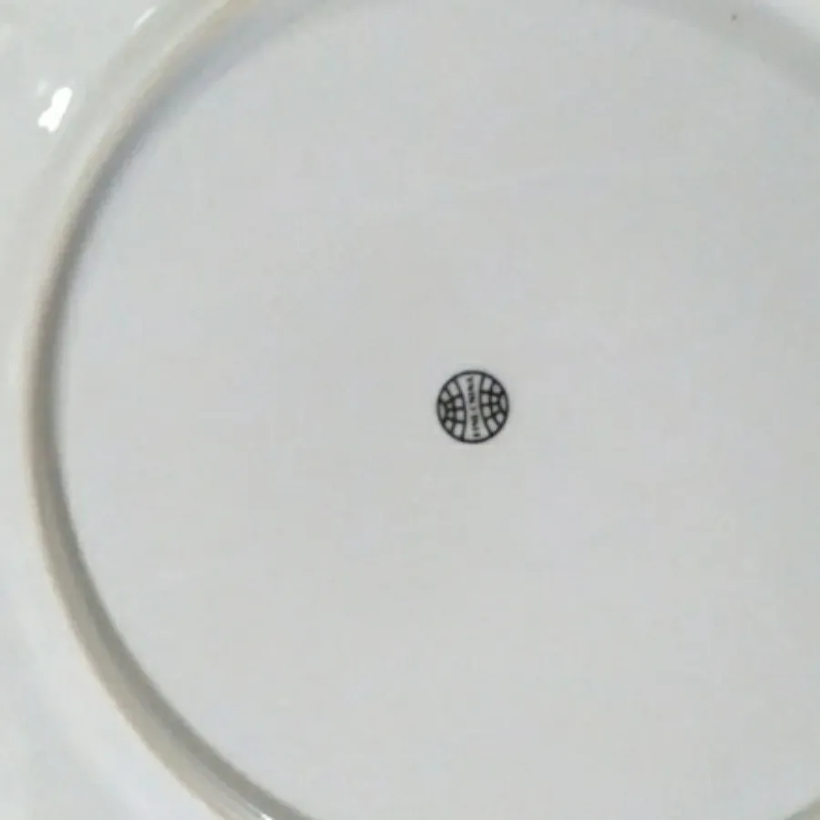 کاسه بشقاب چیزی