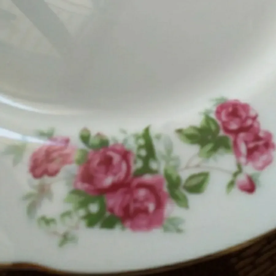 بشقاب گل قرمز قدیمی