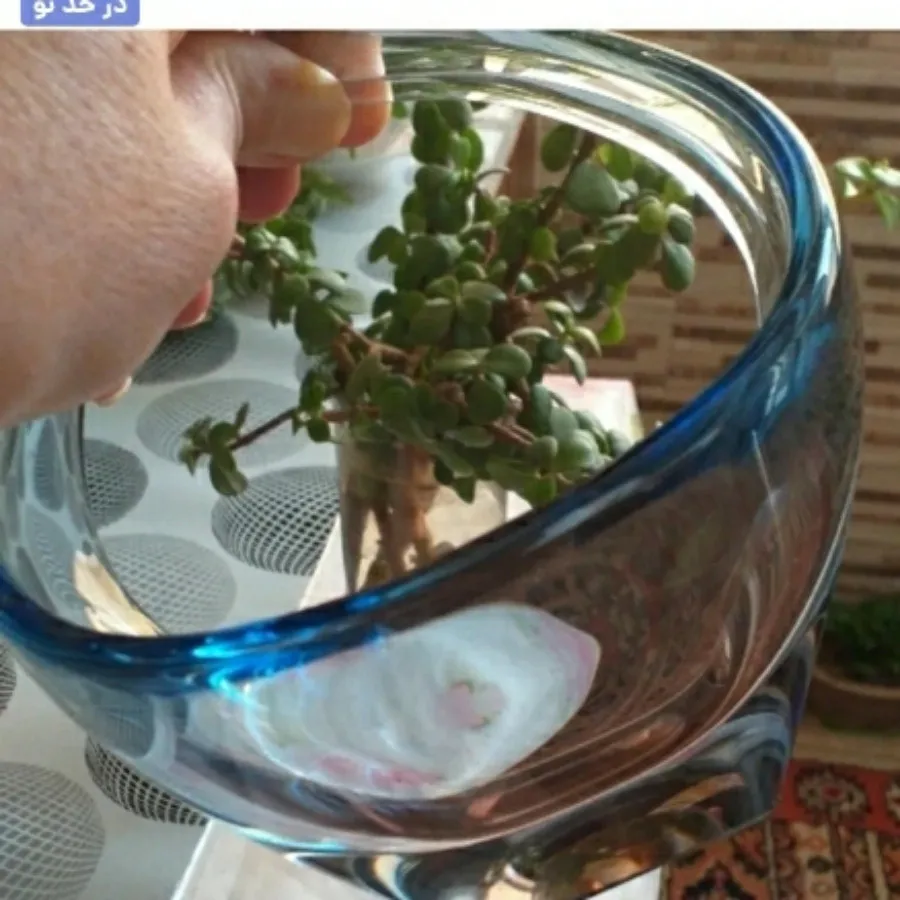 شکلات خوری کریستال