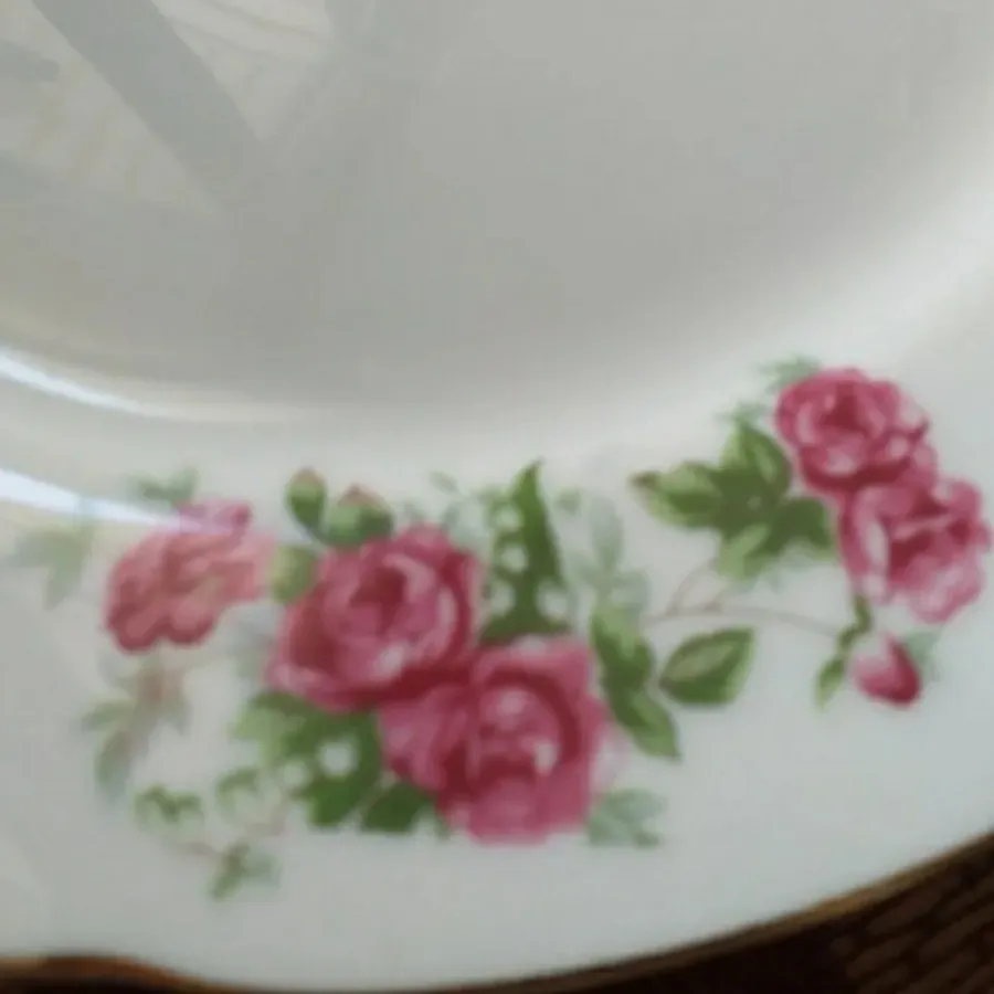 بشقاب گل قرمز قدیمی