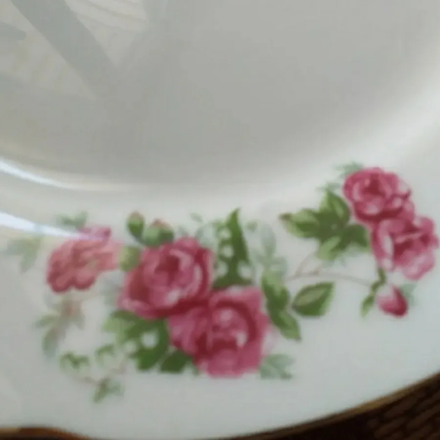 پلو خوری گل قرمز