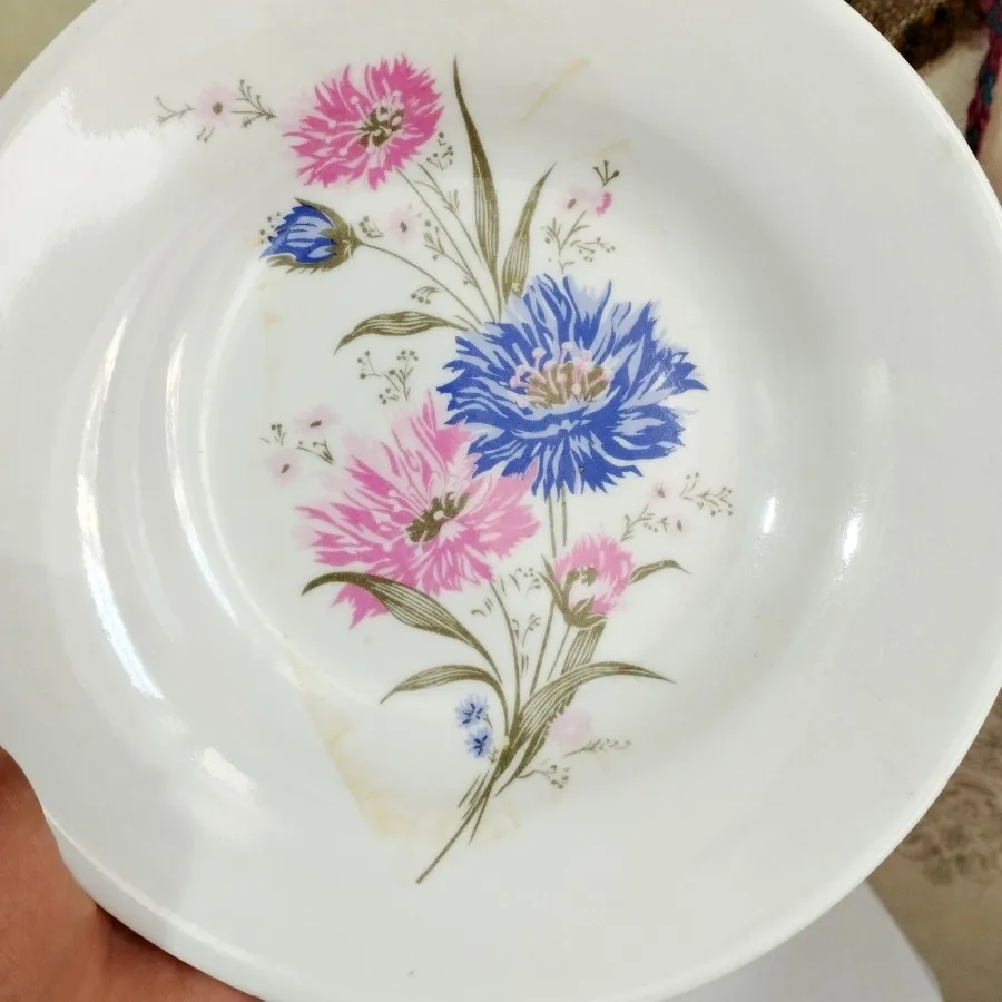 خورشت خوری ملامین