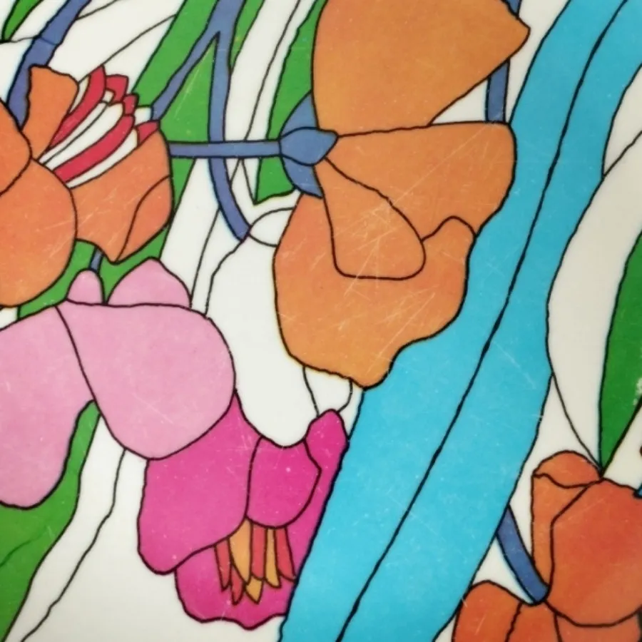 پلوخوری ملامین