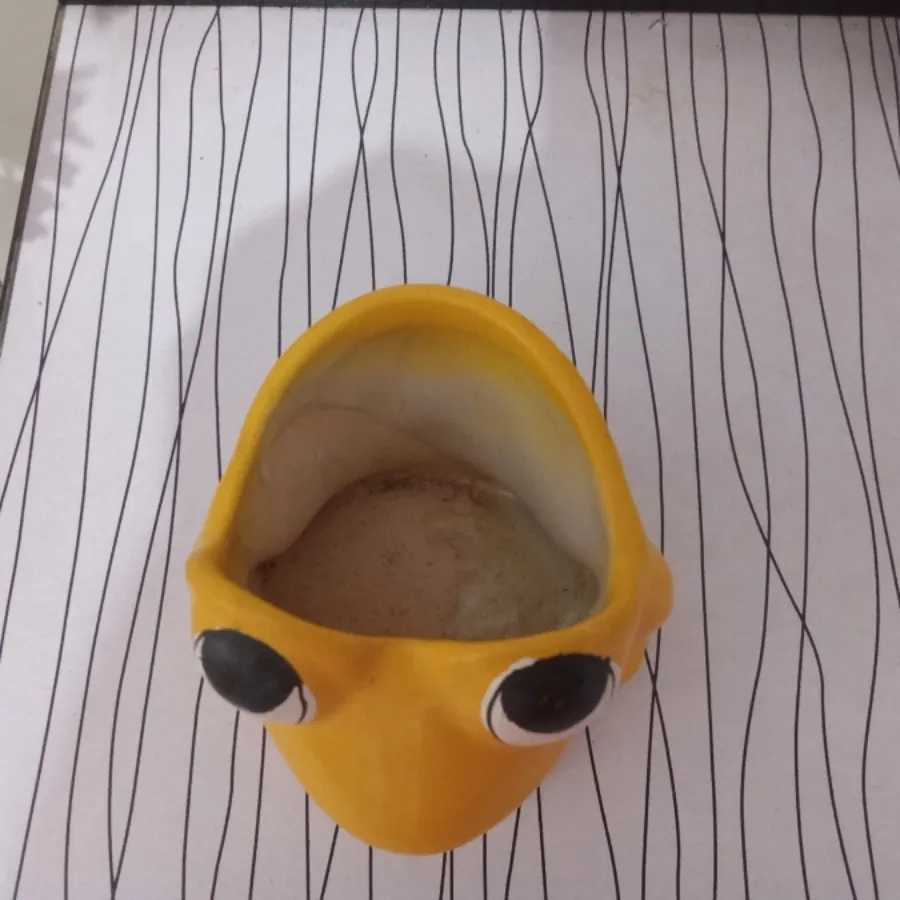 دوعدد جا مداد ارایش