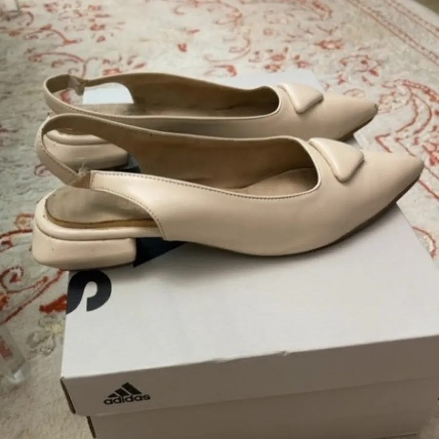 کالج پشت باز طرح پرادا