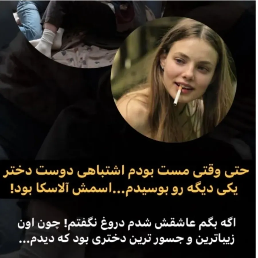 کتاب در جست و جوی آلاسکا