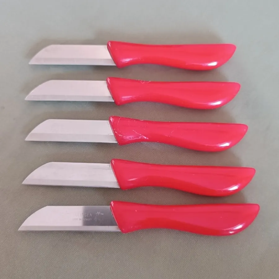 چاقو میوه خوری کارد میوه