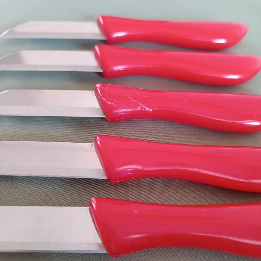 چاقو میوه خوری کارد میوه