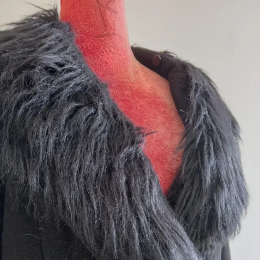 پالتو لویی ویتون