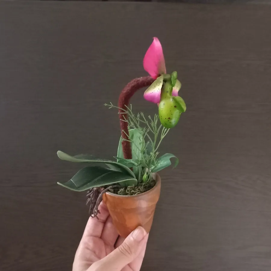 گلدان ارکیده تزیینی