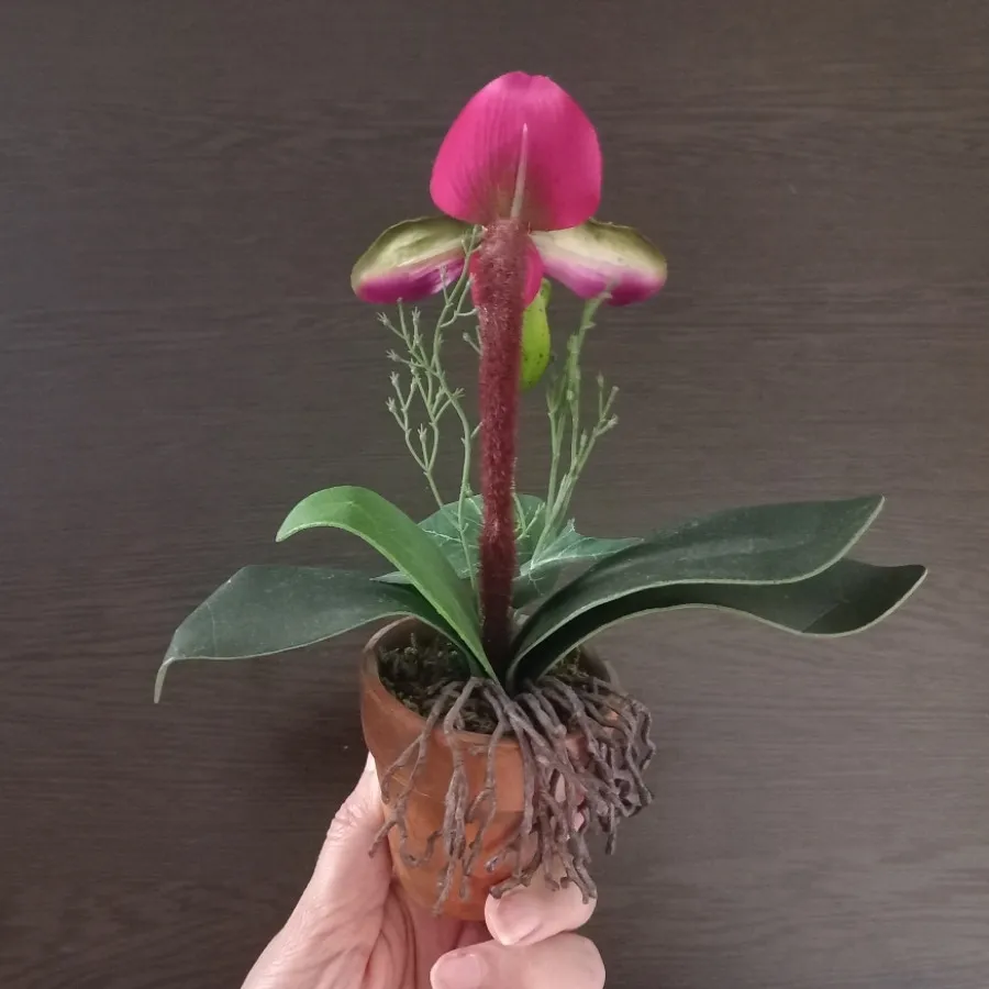 گلدان ارکیده تزیینی