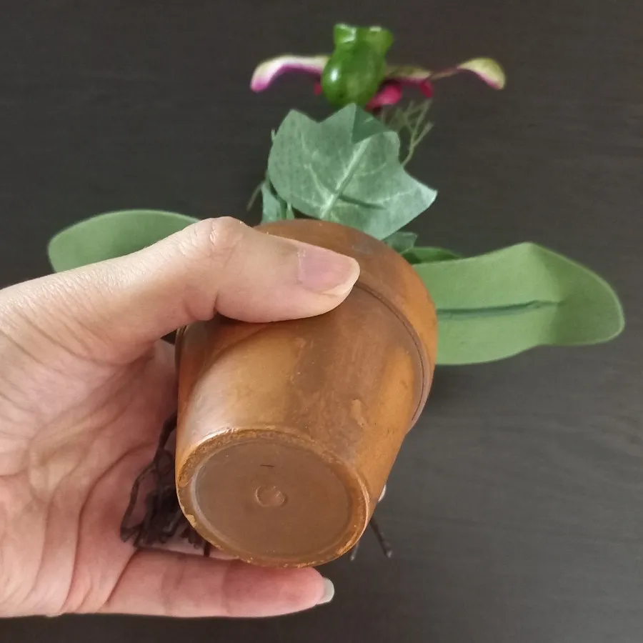 گلدان ارکیده تزیینی