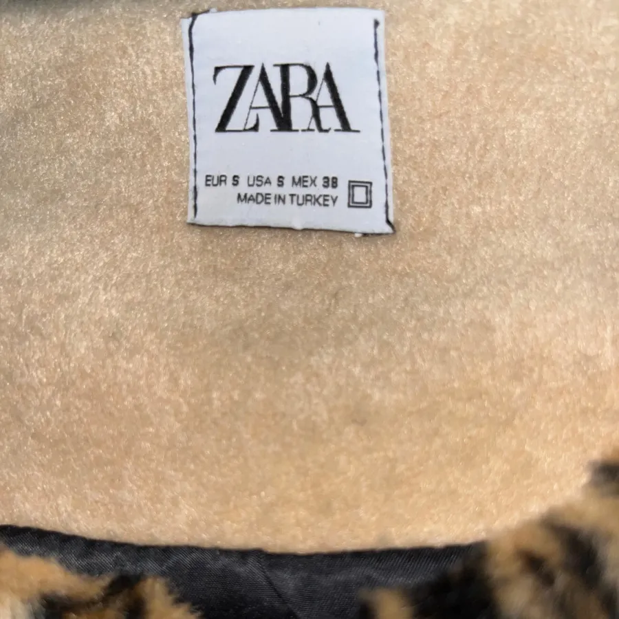 پالتو پلنگی