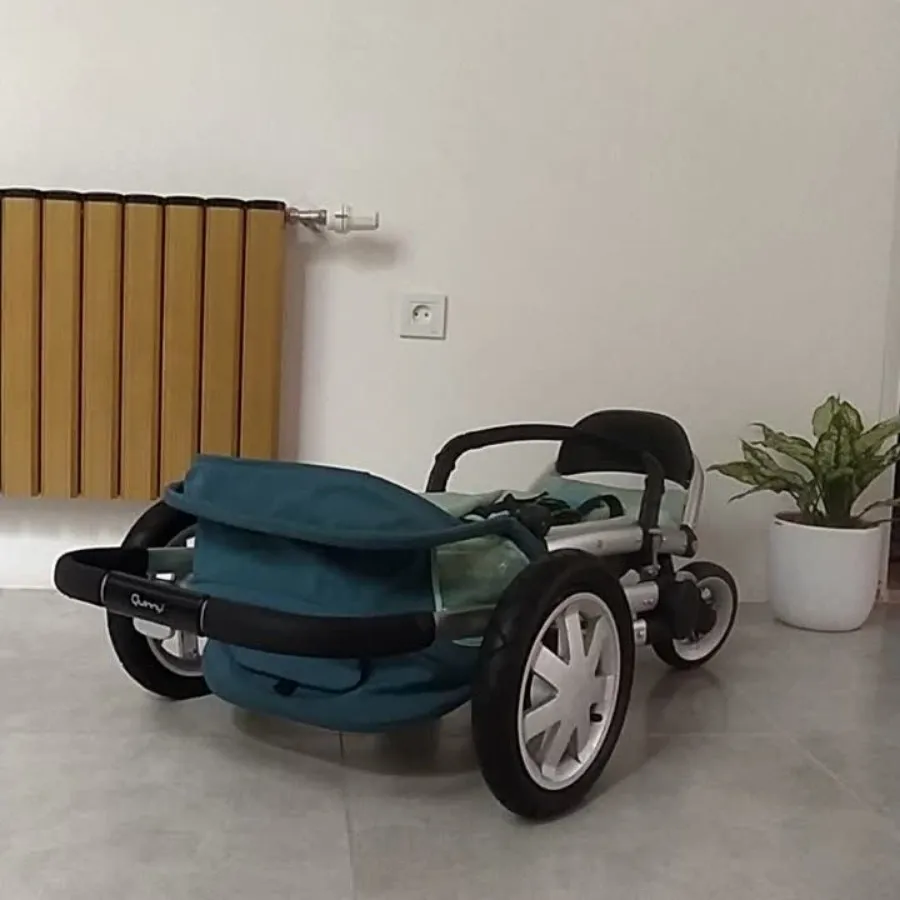 کالسکه برند کویینی هلند