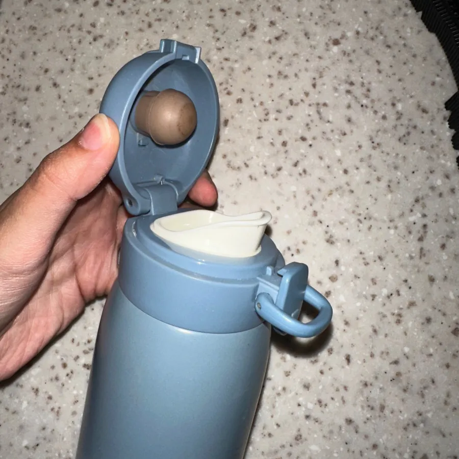 تراول ماگ کاراجا