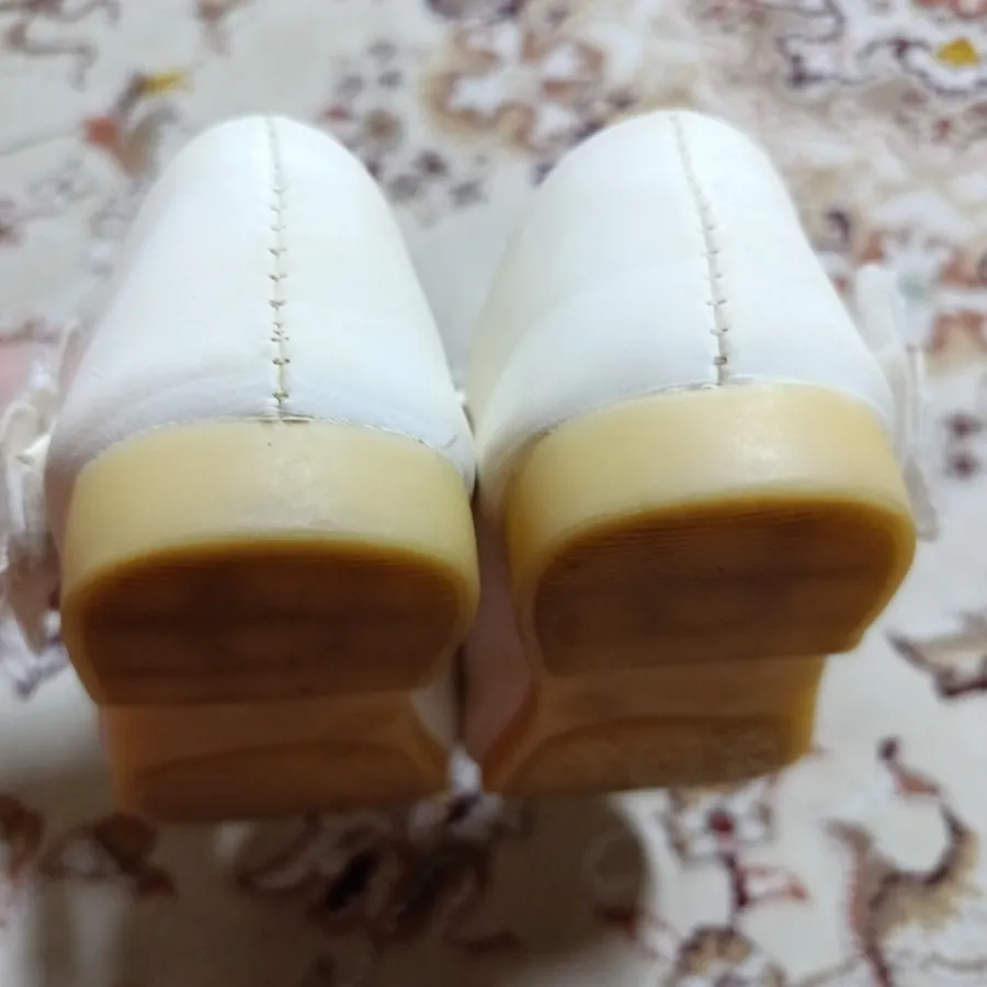 کفش سیندرلا