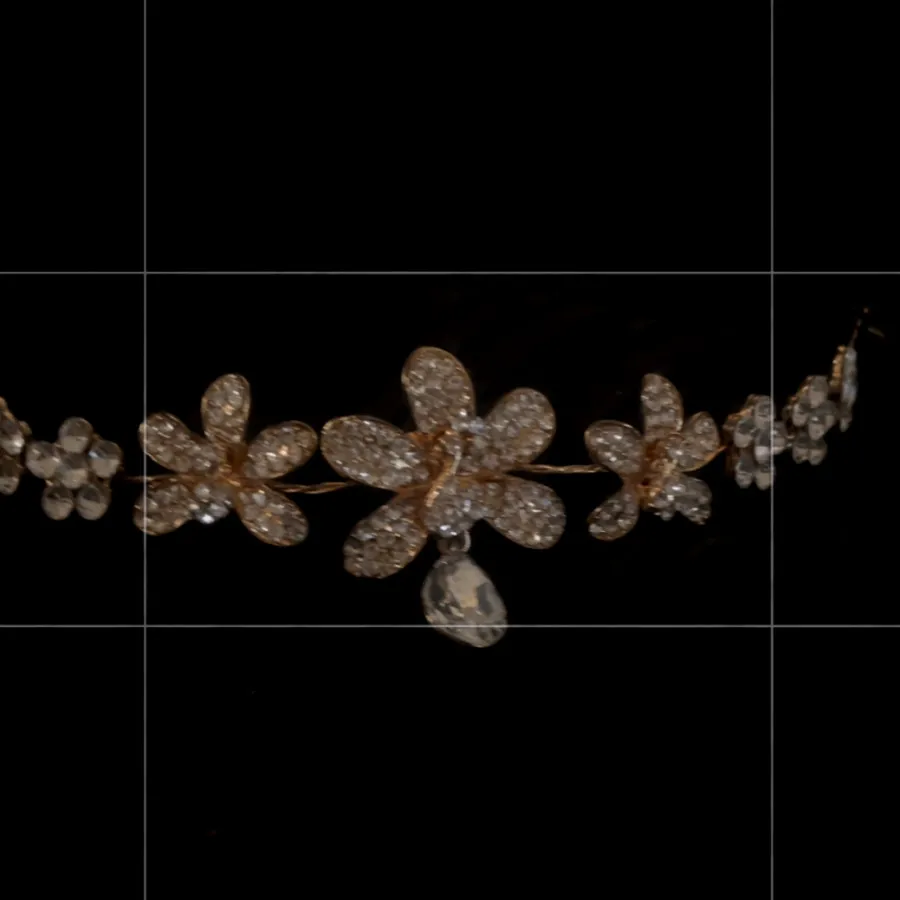 تاج ریسه ای