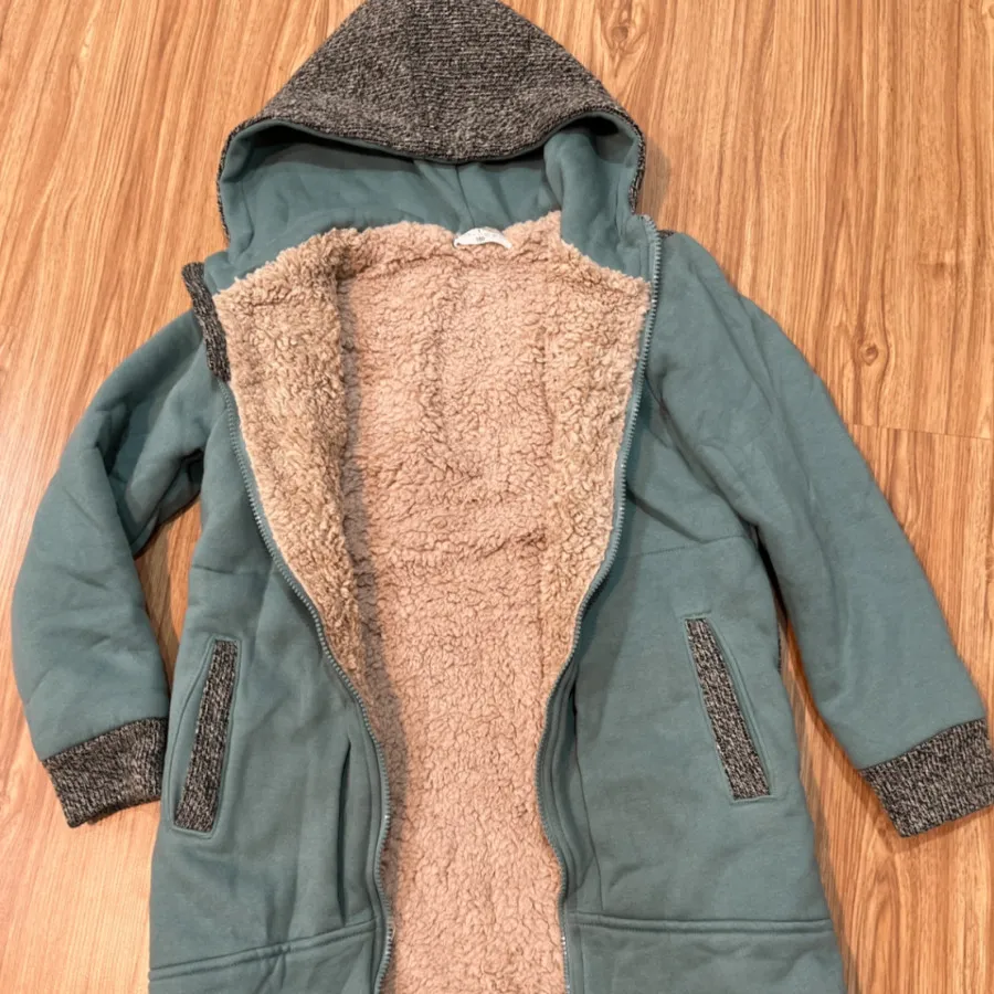 پالتو داخل تدی