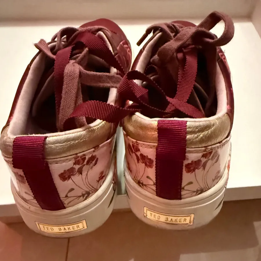 کتونی تدبیکر اصل